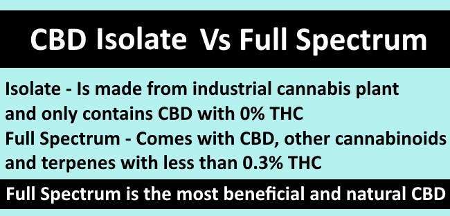 Difference between CBD Isolate and full spectrum