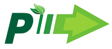 Logo for Pioneer4you