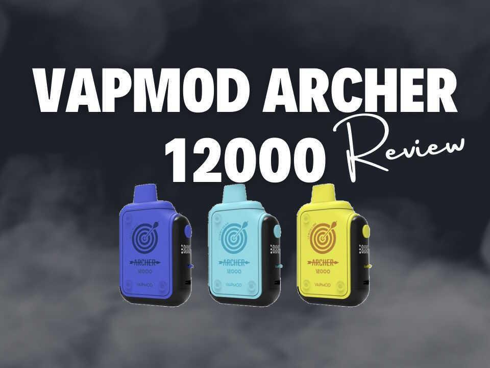 Review of the Archer 12000 VAPMOD